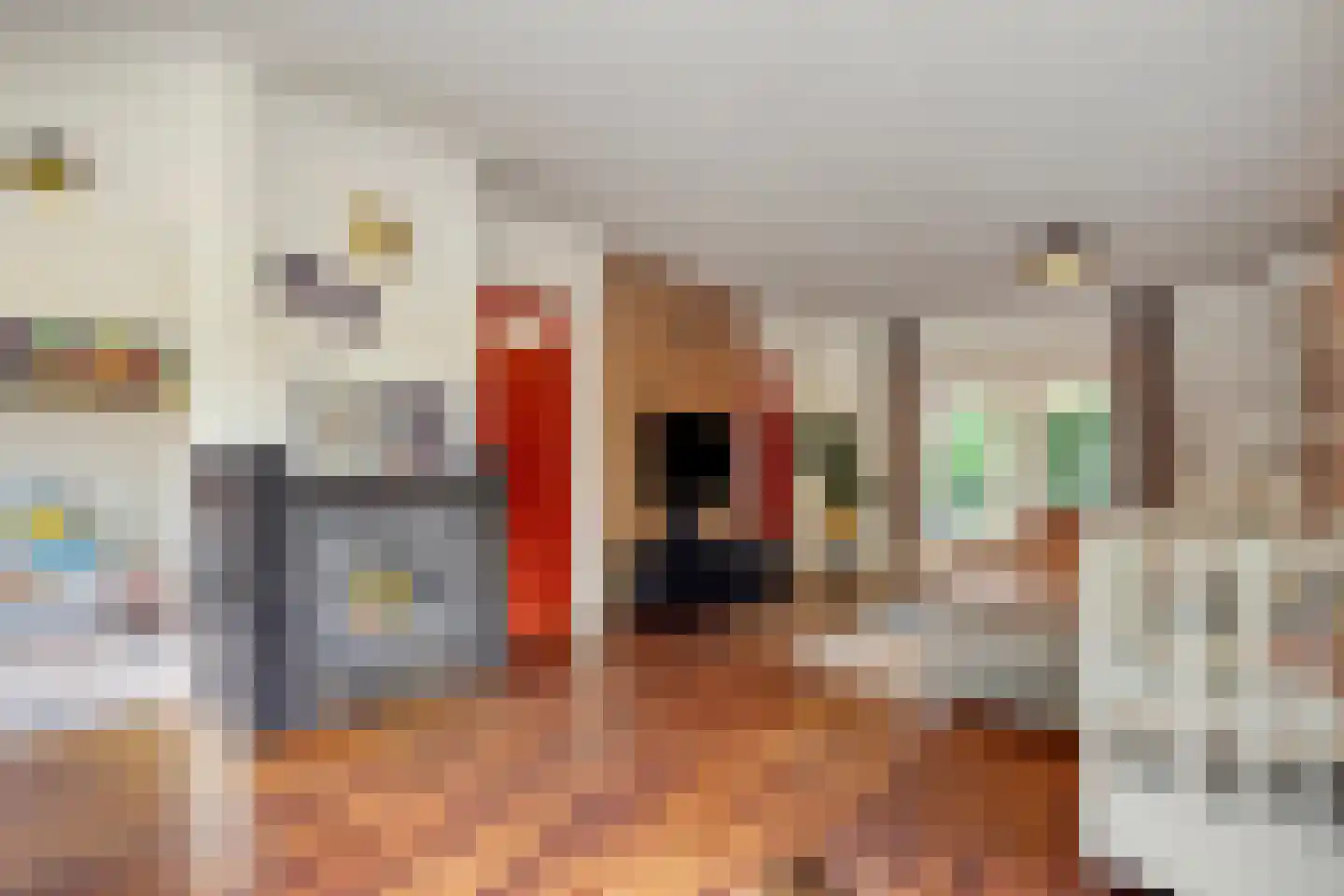 Meppelerweg 58 Steenwijk thumbnail 18