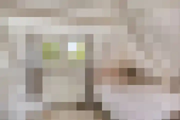 Meppelerweg 58 Steenwijk thumbnail 34
