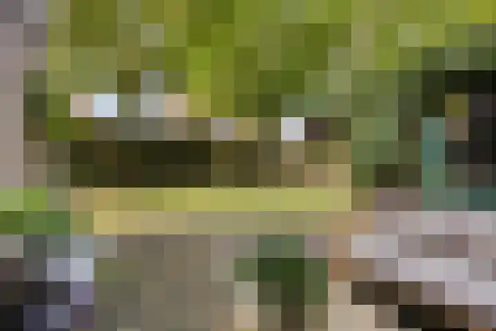 Meppelerweg 58 Steenwijk thumbnail 37
