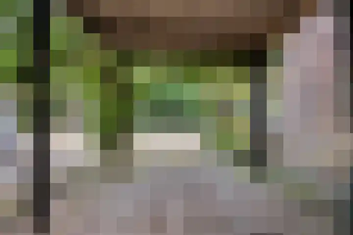 Meppelerweg 58 Steenwijk thumbnail 5
