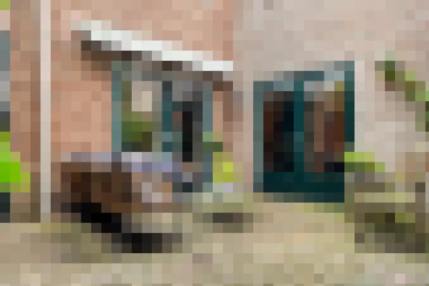 Meppelerweg 58 Steenwijk thumbnail 54