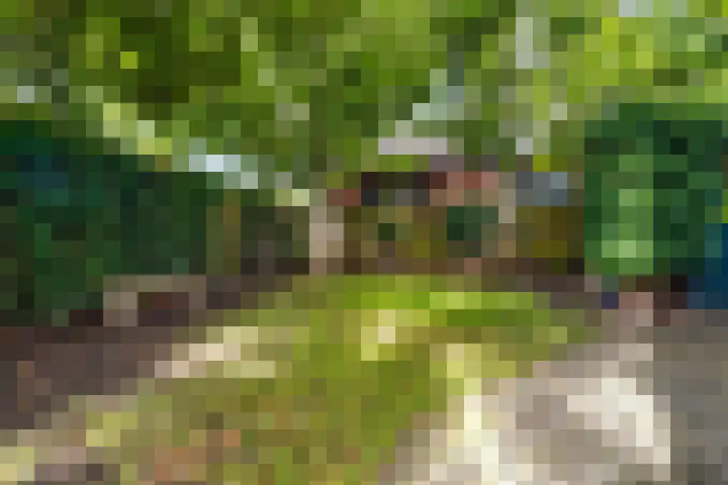 Meppelerweg 58 Steenwijk thumbnail 55