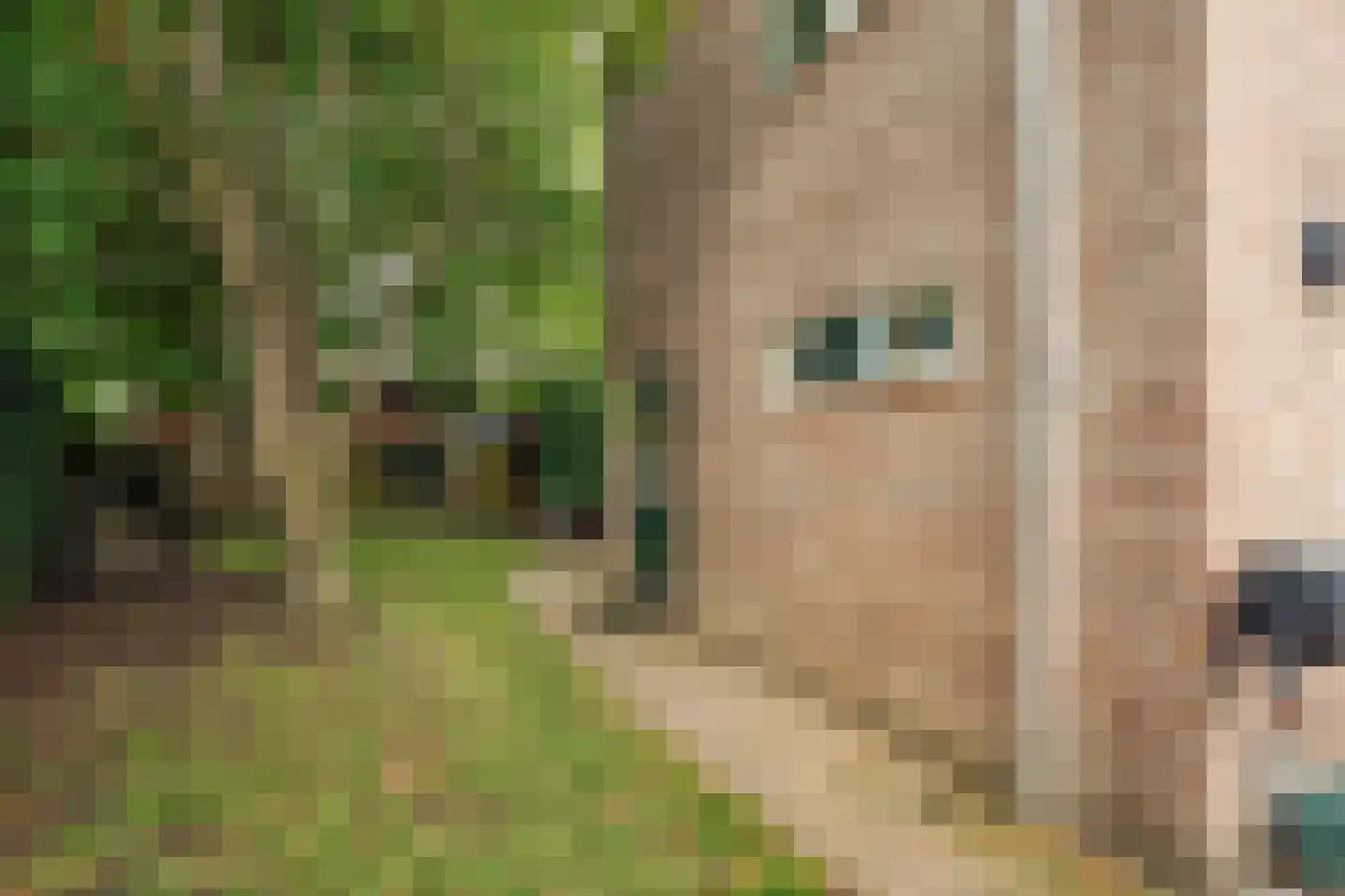 Meppelerweg 58 Steenwijk thumbnail 57