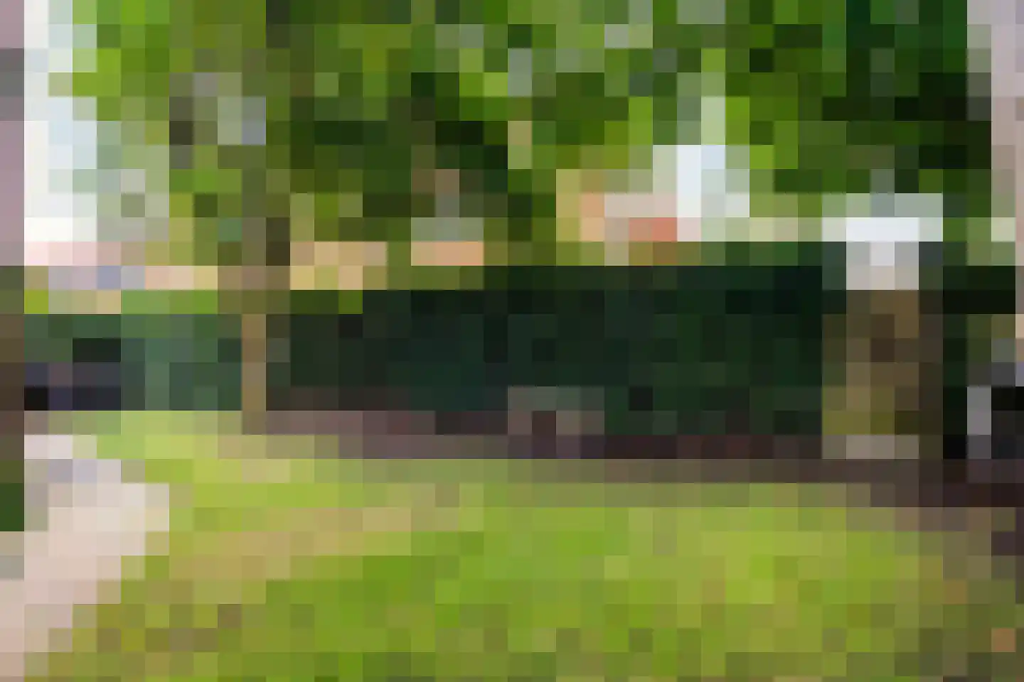 Meppelerweg 58 Steenwijk thumbnail 58