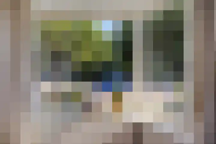 Meppelerweg 58 Steenwijk thumbnail 6