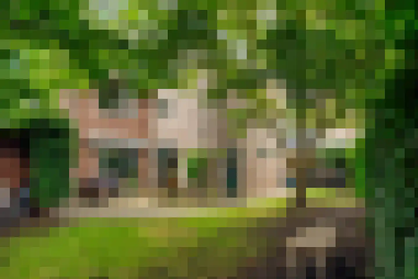 Meppelerweg 58 Steenwijk thumbnail 60