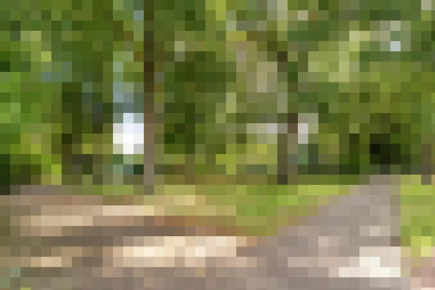 Meppelerweg 58 Steenwijk thumbnail 61