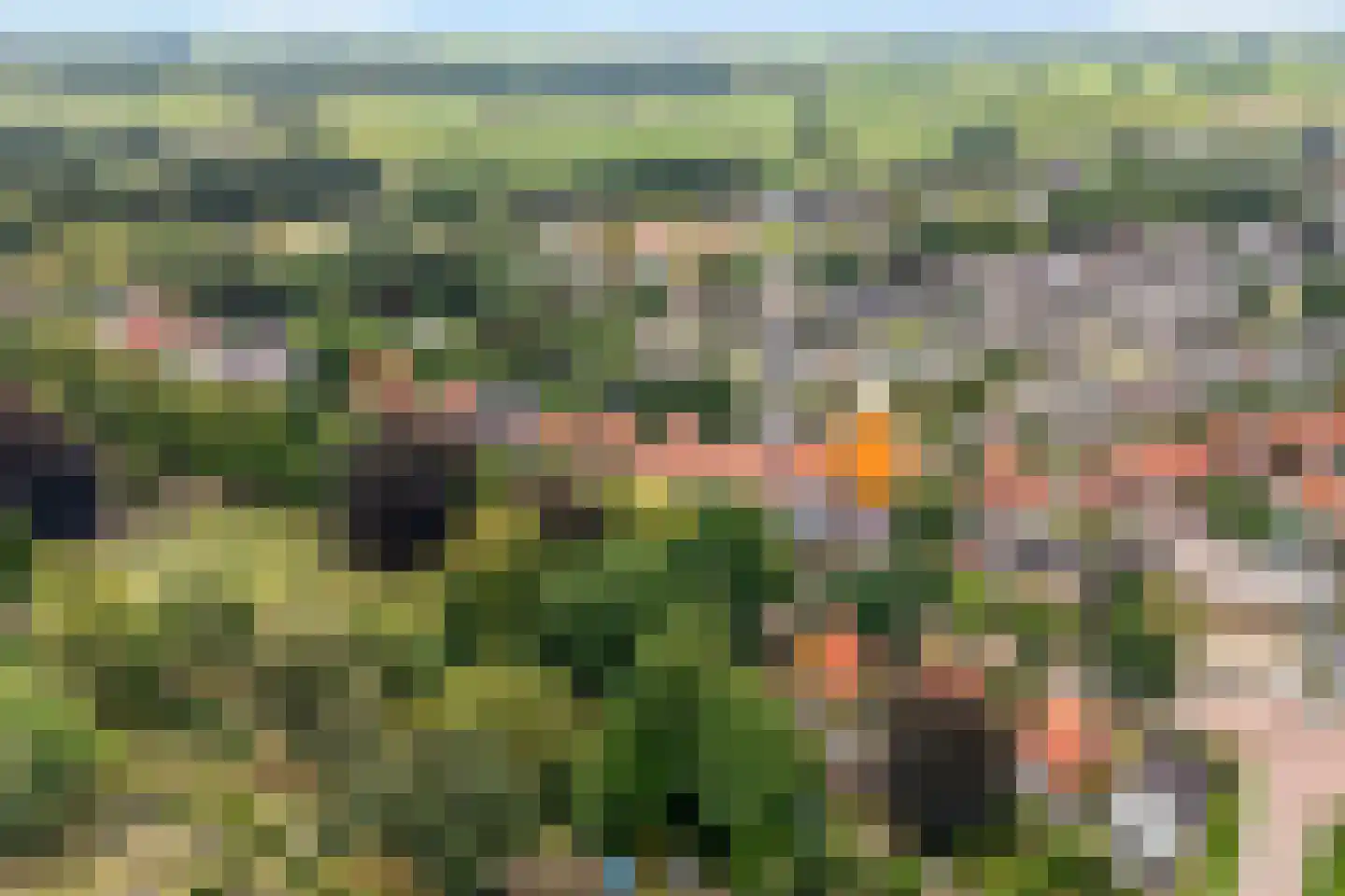 Meppelerweg 58 Steenwijk thumbnail 63
