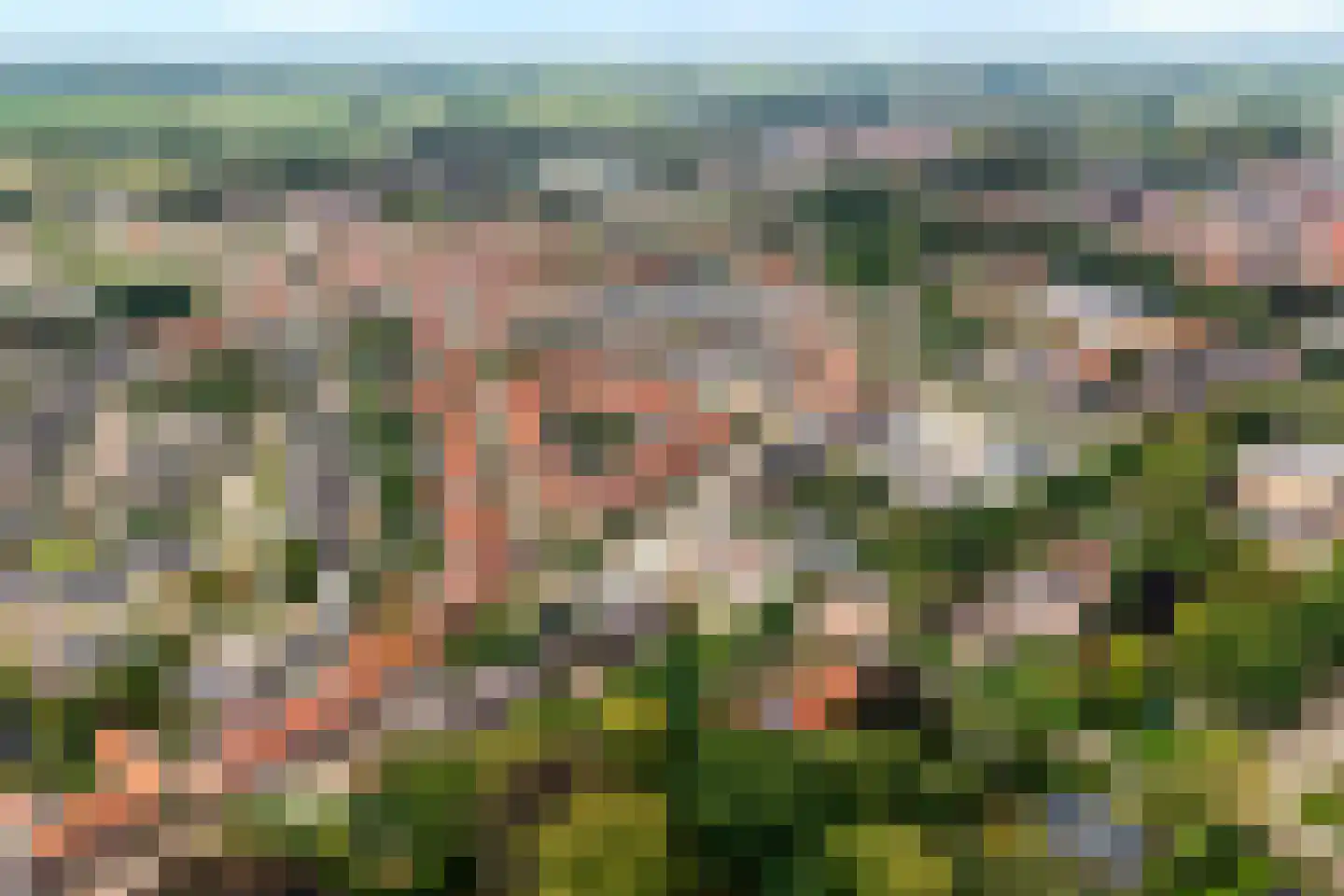 Meppelerweg 58 Steenwijk thumbnail 64