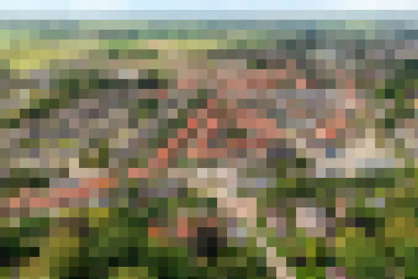 Meppelerweg 58 Steenwijk thumbnail 65