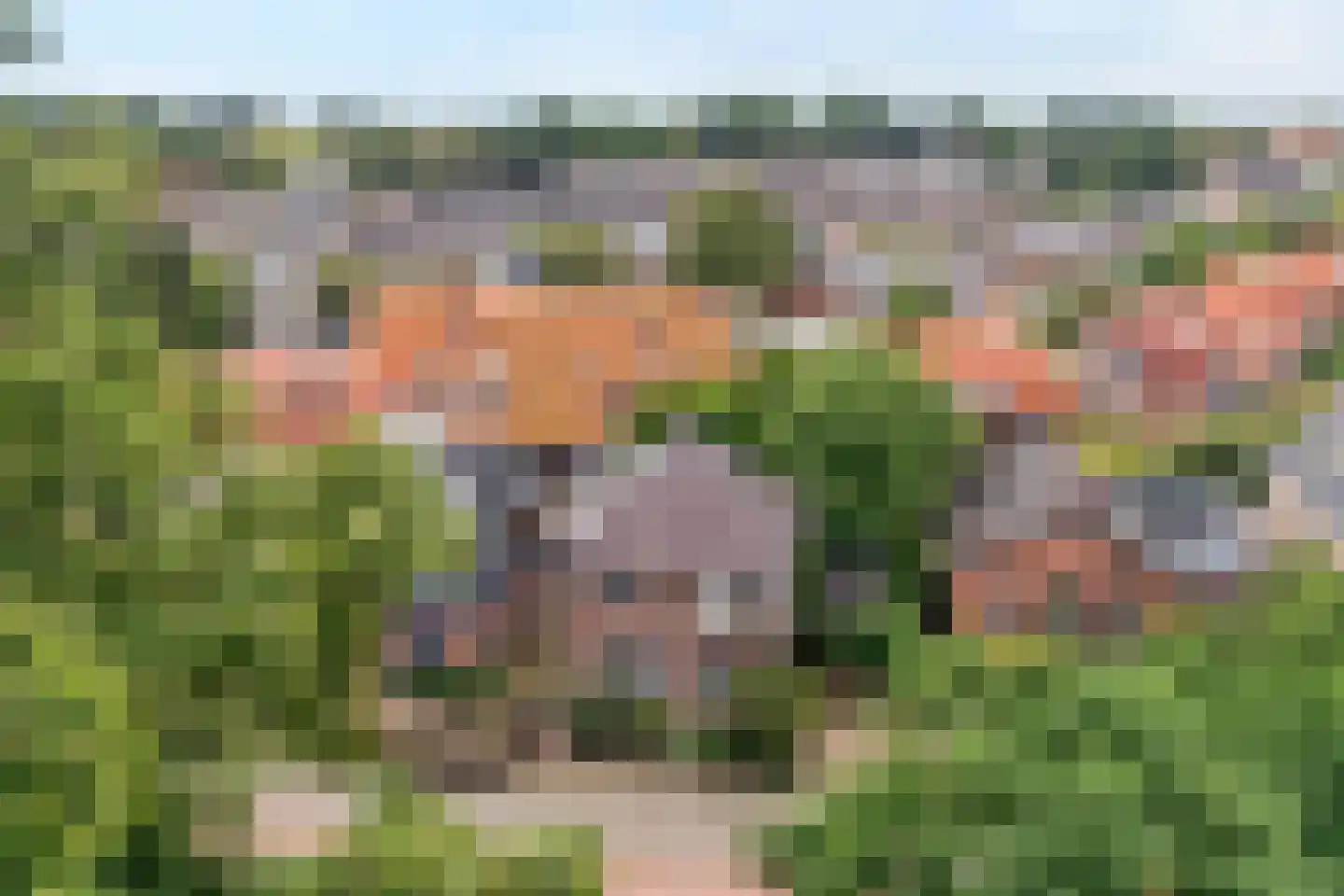 Meppelerweg 58 Steenwijk thumbnail 68