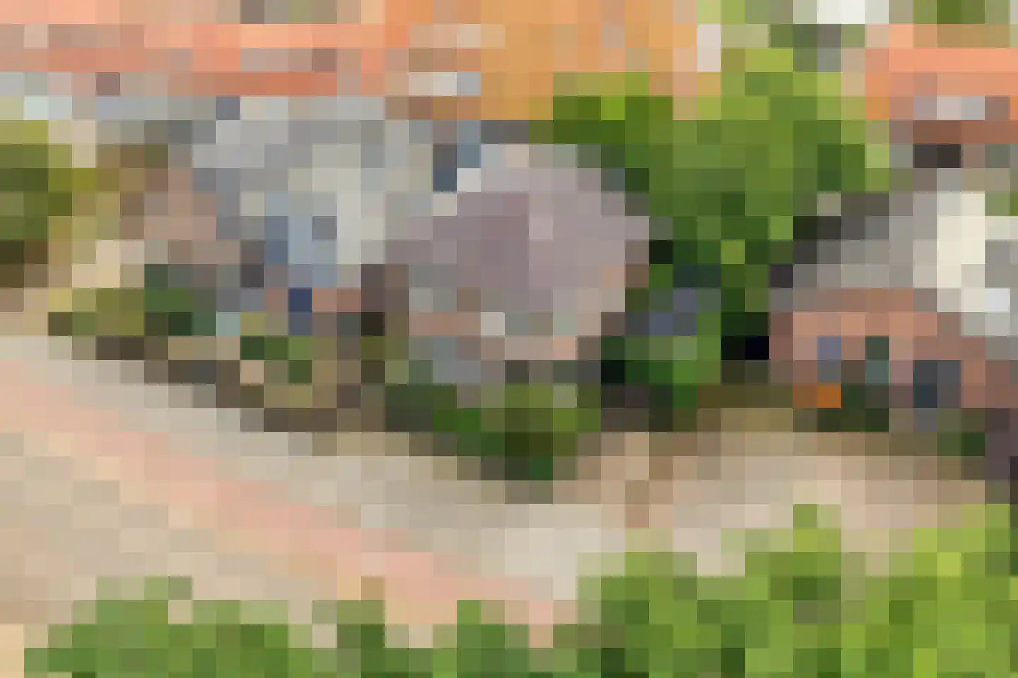 Meppelerweg 58 Steenwijk thumbnail 7
