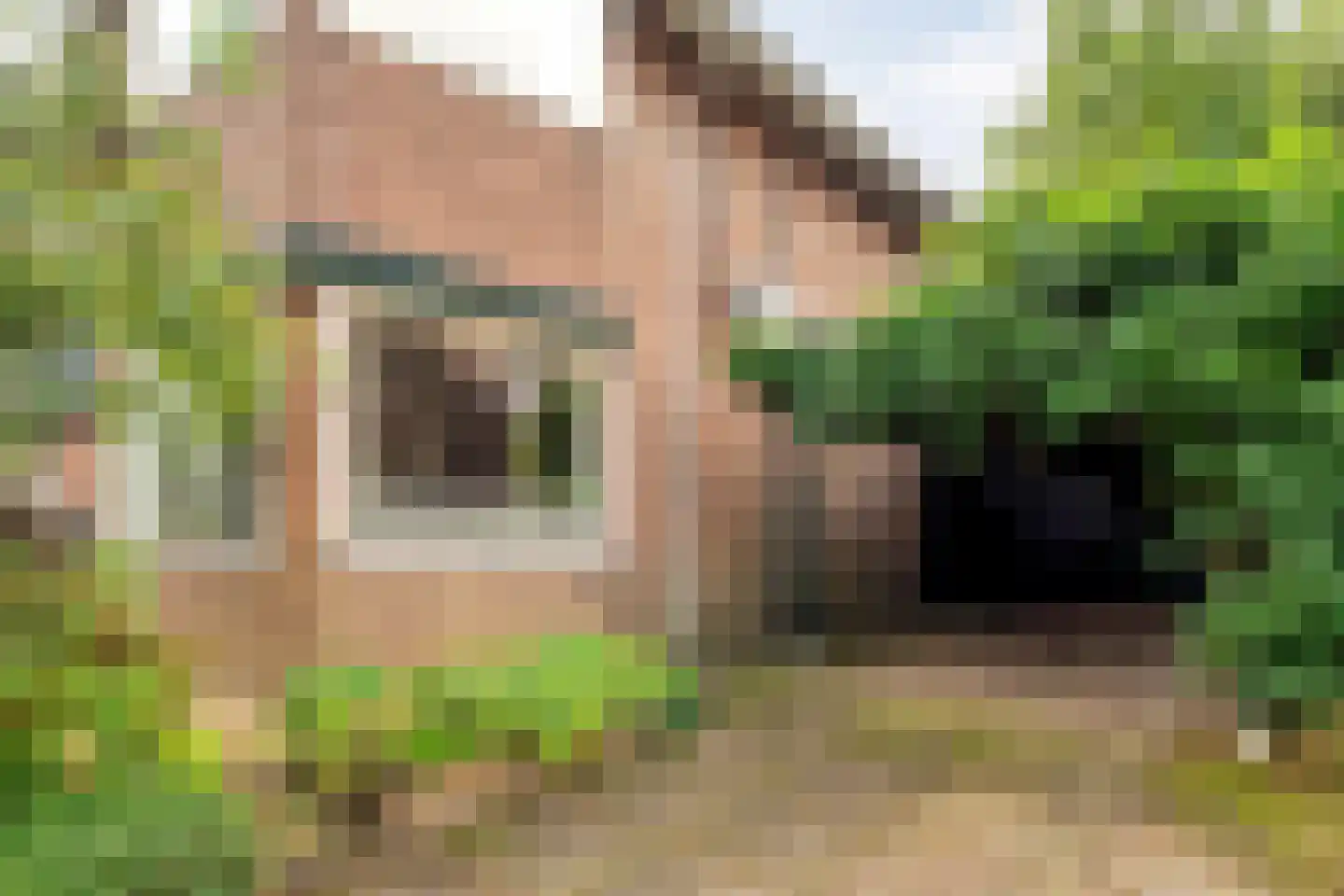 Meppelerweg 58 Steenwijk thumbnail 8