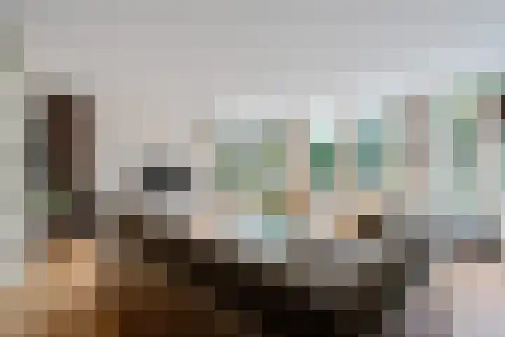 Meppelerweg 64 A Steenwijk thumbnail 10