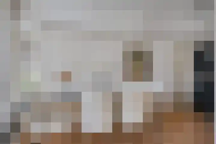 Meppelerweg 64 A Steenwijk thumbnail 12