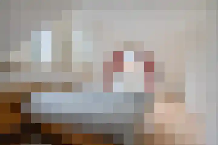 Meppelerweg 64 A Steenwijk thumbnail 26