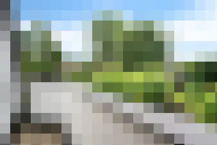 Meppelerweg 64 A Steenwijk thumbnail 28