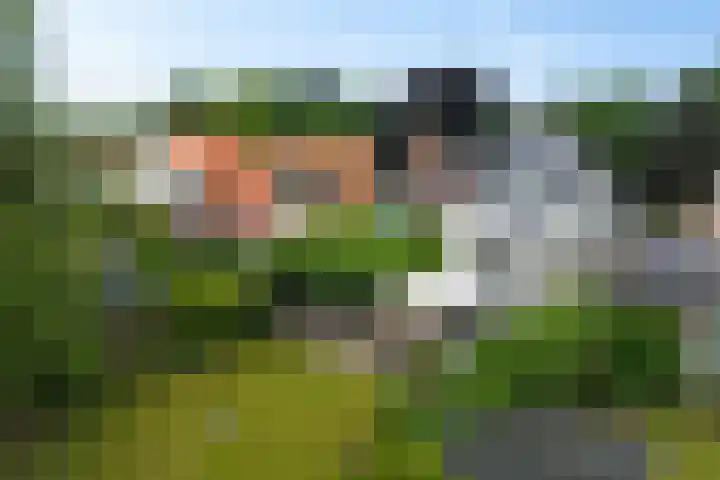 Meppelerweg 64 A Steenwijk thumbnail 29