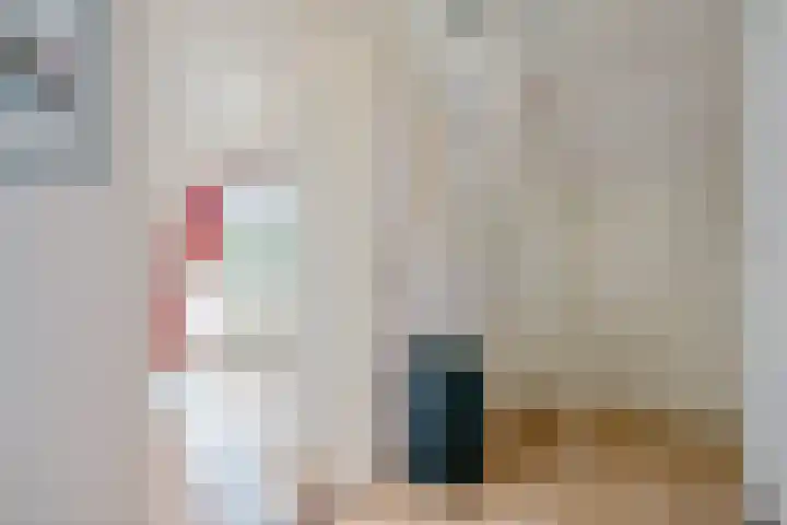 Meppelerweg 64 A Steenwijk thumbnail 31
