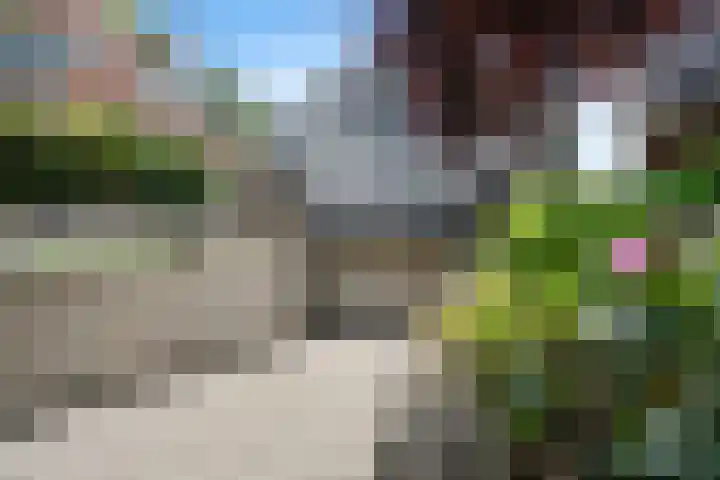 Meppelerweg 64 A Steenwijk thumbnail 34