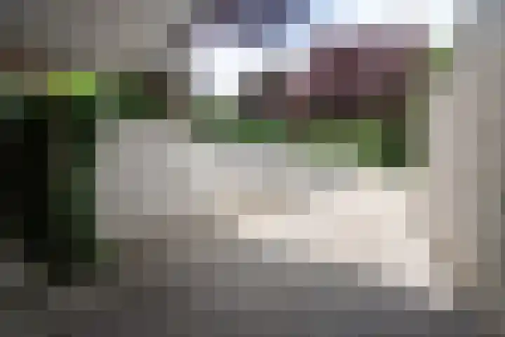 Meppelerweg 64 A Steenwijk thumbnail 35