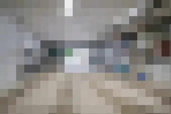 Meppelerweg 64 A Steenwijk thumbnail 37