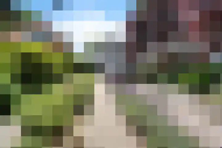 Meppelerweg 64 A Steenwijk thumbnail 39
