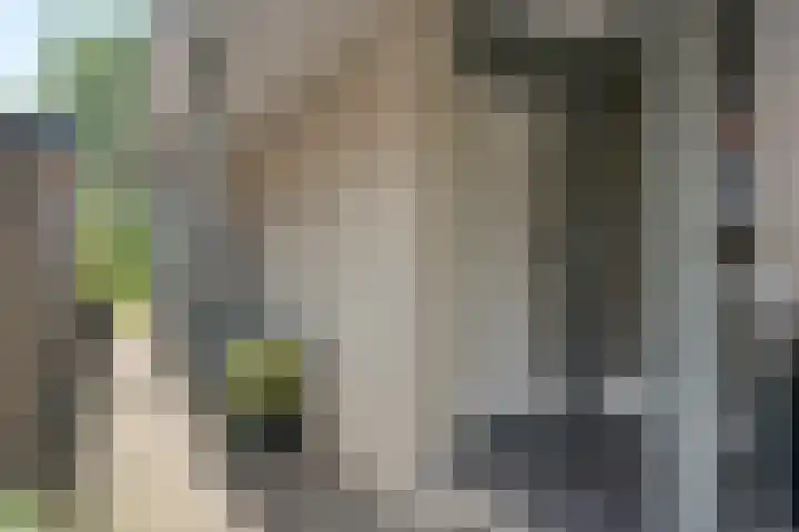 Meppelerweg 64 A Steenwijk thumbnail 4
