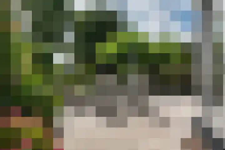 Meppelerweg 64 A Steenwijk thumbnail 40