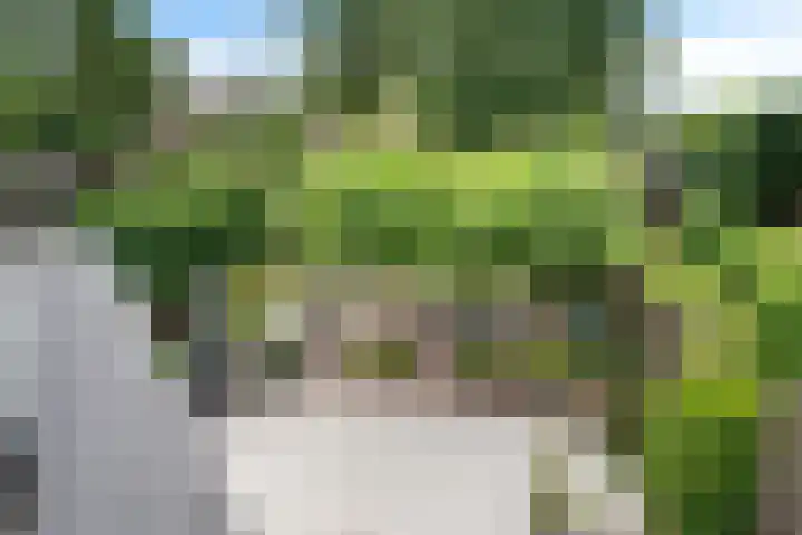 Meppelerweg 64 A Steenwijk thumbnail 41