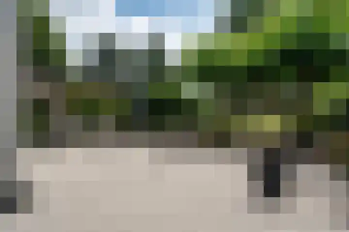 Meppelerweg 64 A Steenwijk thumbnail 42
