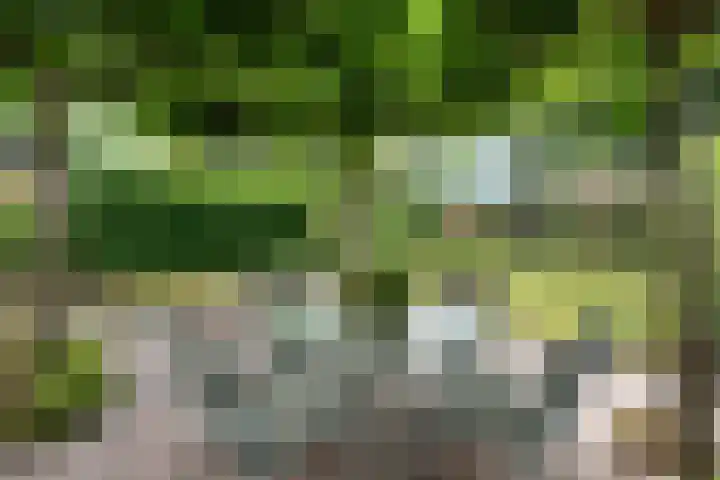 Meppelerweg 64 A Steenwijk thumbnail 43