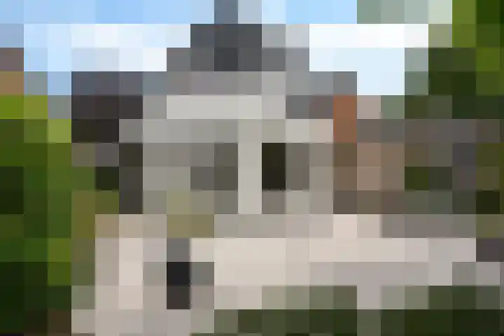 Meppelerweg 64 A Steenwijk thumbnail 44
