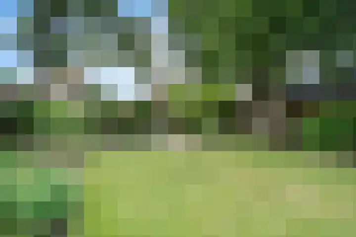 Meppelerweg 64 A Steenwijk thumbnail 45
