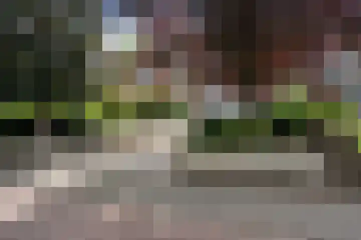 Meppelerweg 64 A Steenwijk thumbnail 46