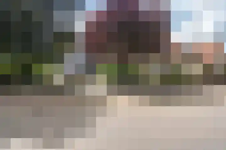 Meppelerweg 64 A Steenwijk thumbnail 47