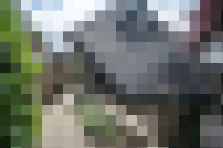 Meppelerweg 64 A Steenwijk thumbnail 48
