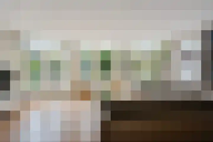 Meppelerweg 64 A Steenwijk thumbnail 7