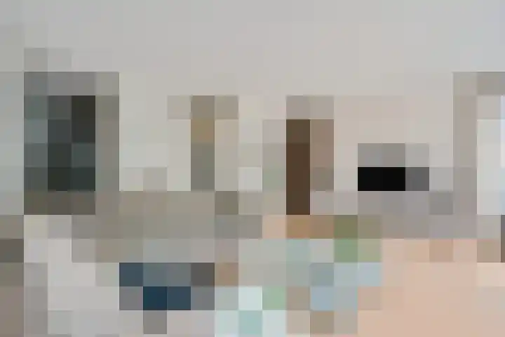 Meppelerweg 64 A Steenwijk thumbnail 8