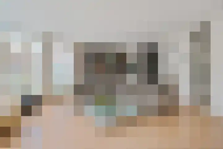 Meppelerweg 64 A Steenwijk thumbnail 9