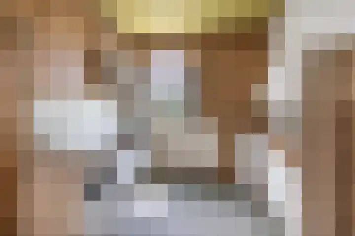Meppelerweg 64 Steenwijk thumbnail 10