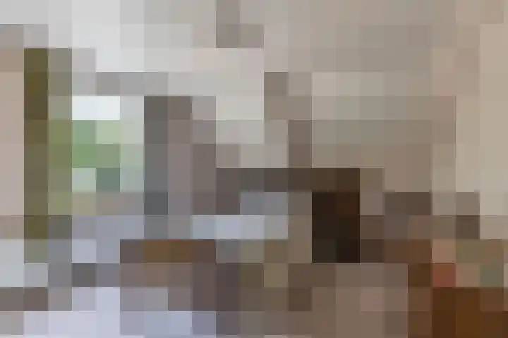 Meppelerweg 64 Steenwijk thumbnail 17