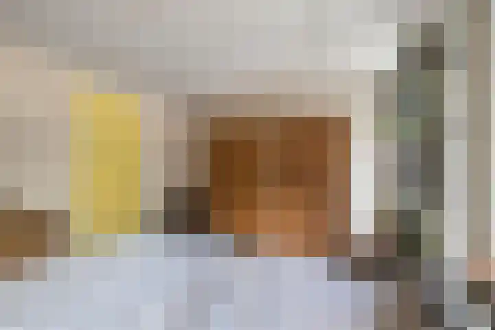 Meppelerweg 64 Steenwijk thumbnail 18