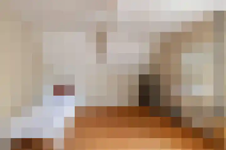 Meppelerweg 64 Steenwijk thumbnail 21