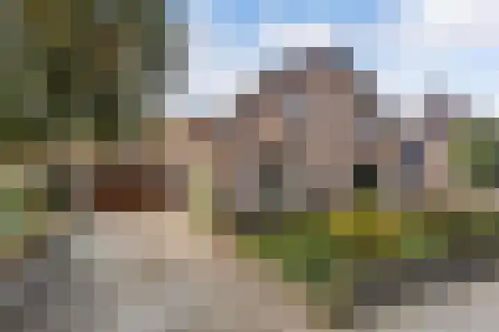 Meppelerweg 64 Steenwijk thumbnail 23