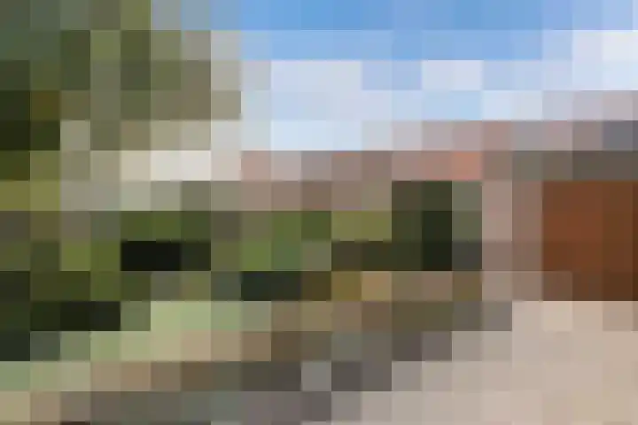 Meppelerweg 64 Steenwijk thumbnail 26