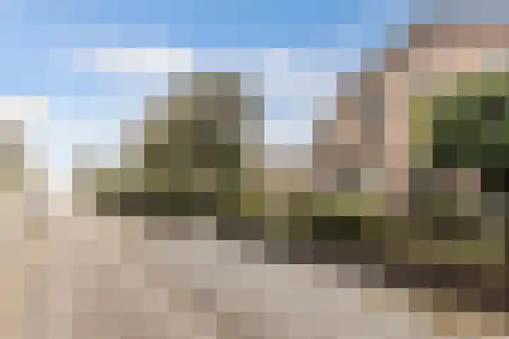 Meppelerweg 64 Steenwijk thumbnail 27