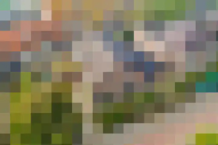 Meppelerweg 64 Steenwijk thumbnail 28