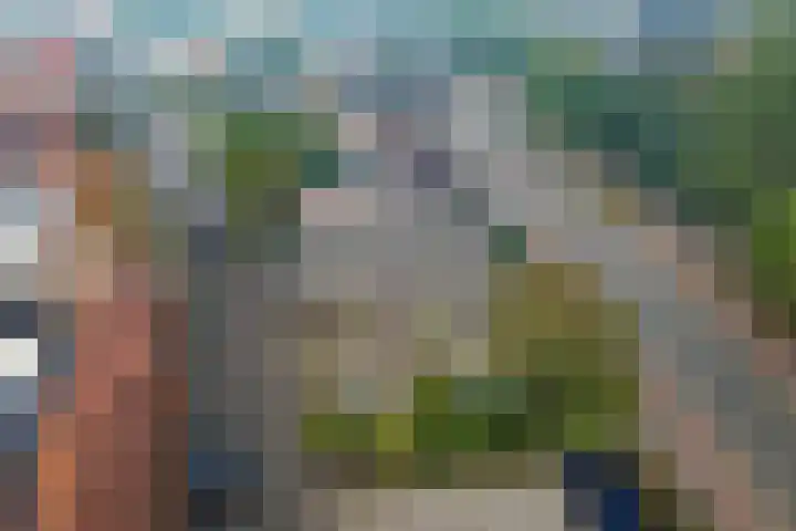 Meppelerweg 64 Steenwijk thumbnail 29