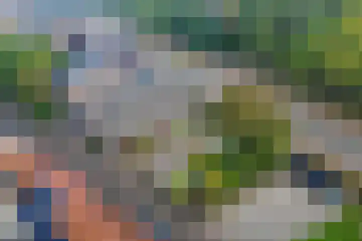 Meppelerweg 64 Steenwijk thumbnail 30